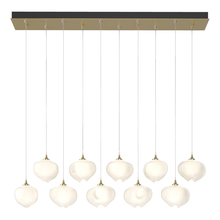 Hubbardton Forge - Canada 131203-SKT-STND-86-FD0710 - Ume 10-Light Pendant