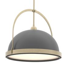Hubbardton Forge - Canada 137462-SKT-MULT-84-14 - Atlas Large Pendant