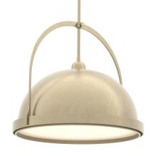 Hubbardton Forge - Canada 137462-SKT-MULT-86-84 - Atlas Large Pendant