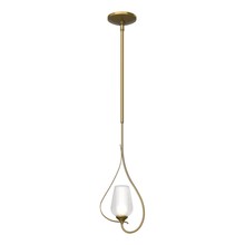 Hubbardton Forge - Canada 183050-SKT-MULT-86-ZS0354 - Flora Up Light Mini Pendant