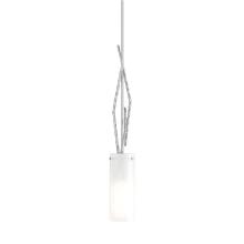 Hubbardton Forge - Canada 186670-SKT-MULT-82-GG0336 - Brindille Mini Pendant
