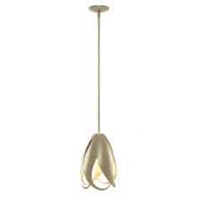 Hubbardton Forge - Canada 188770-SKT-MULT-84 - Pental Mini Pendant