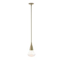 Hubbardton Forge - Canada 188902-SKT-MULT-84-ZM0676 - Fritz Large Pendant