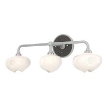 Hubbardton Forge - Canada 201342-SKT-82-14-FD0710 - Ume 3-Light Curved Arm Bath Sconce