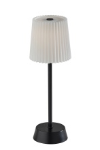 AFJ - Adesso 3076-01 - Bobby Cordless LED Table Lamp