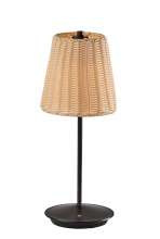 AFJ - Adesso 4074-01 - Andy LED Cordless Table Lamp