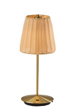 AFJ - Adesso 4074-21 - Andy LED Cordless Table Lamp