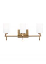 Visual Comfort & Co. Studio Collection 4457103-848 - Oak Moore Three Light Wall / Bath