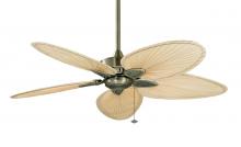 Fanimation FP7500AB - Windpointe - 52 inch - AB with N Narrow Oval Blades