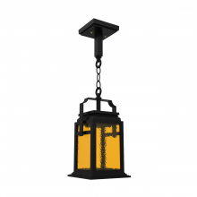 SNOC 16550-AC01-LD10C - Serie 65e - Ceiling mount on chain small format - 16550