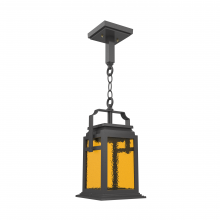 SNOC 16550-AC10-LD10C - Serie 65e - Ceiling mount on chain small format - 16550