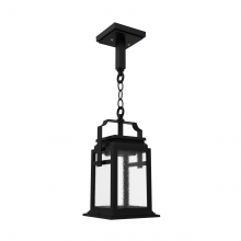 SNOC 16550-CH01-LD10C - Serie 65e - Ceiling mount on chain small format - 16550