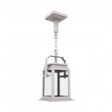 SNOC 16550-CH03-LD10C - Serie 65e - Ceiling mount on chain small format - 16550