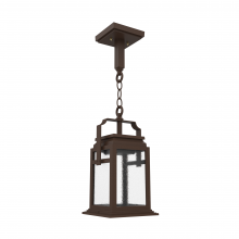 SNOC 16550-CH06-LD10C - Serie 65e - Ceiling mount on chain small format - 16550
