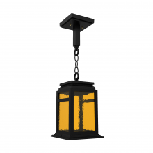 SNOC 16650-AC01-LD10C - Serie 65e - Ceiling mounting on chain small format - 16650