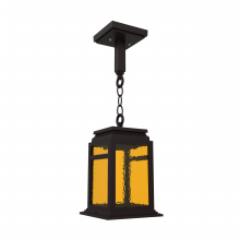 SNOC 16650-AC09-LD10C - Serie 65e - Ceiling mounting on chain small format - 16650