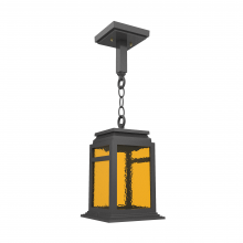 SNOC 16650-AC10-LD10C - Serie 65e - Ceiling mounting on chain small format - 16650