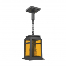 SNOC 16650-AC10C - Serie 65e - Ceiling mounting on chain small format - 16650