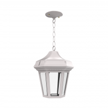 SNOC 24850-CB03-LD10C - Oxford - Ceiling mount with chain open bottom medium format - 24850