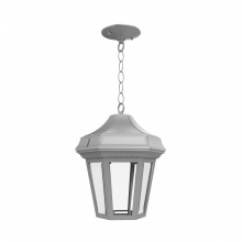 SNOC 24850-CB21-LD10C - Oxford - Ceiling mount with chain open bottom medium format - 24850