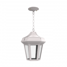 SNOC 24850-CH03-LD10C - Oxford - Ceiling mount with chain open bottom medium format - 24850