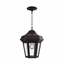 SNOC 24850-CH09 - Oxford - Ceiling mount with chain open bottom medium format - 24850