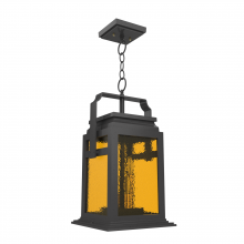 SNOC 26550-AC10C - Serie 65e - Ceiling mount on chain medium format - 26550