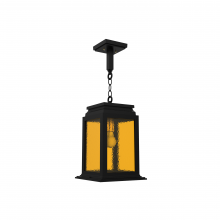 SNOC 26750-AC01 - Serie 65e - Ceiling mount on chain medium format - 26750