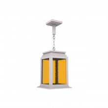 SNOC 26750-AC03-LD10C - Serie 65e - Ceiling mount on chain medium format - 26750