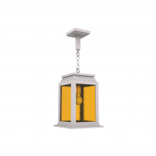 SNOC 26750-AC03 - Serie 65e - Ceiling mount on chain medium format - 26750