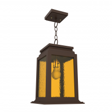 SNOC 26750-AC06 - Serie 65e - Ceiling mount on chain medium format - 26750