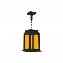 SNOC 26750-AC09-LD10C - Serie 65e - Ceiling mount on chain medium format - 26750