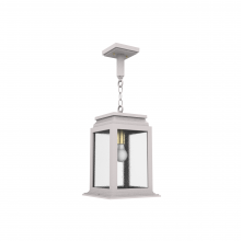 SNOC 26750-CH03 - Serie 65e - Ceiling mount on chain medium format - 26750