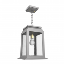 SNOC 26750-CH21 - Serie 65e - Ceiling mount on chain medium format - 26750