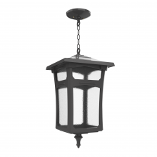 SNOC 30455-CH10-LD10C - Lincoln - Large Closed Bottom Chain Ceiling Mount - 30455