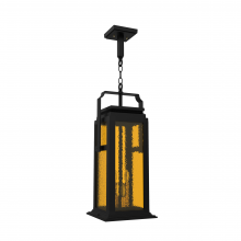 SNOC 36550-AC01C - Serie 65e - Ceiling mounting on chain large format - 36550