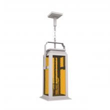 SNOC 36550-AC03C - Serie 65e - Ceiling mounting on chain large format - 36550