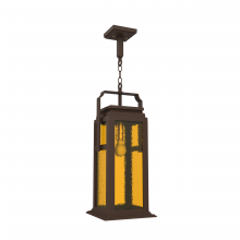 SNOC 36550-AC06 - Serie 65e - Ceiling mounting on chain large format - 36550