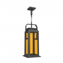 SNOC 36550-AC10-LD10C - Serie 65e - Ceiling mounting on chain large format - 36550