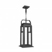 SNOC 36550-CH10-LD10C - Serie 65e - Ceiling mounting on chain large format - 36550