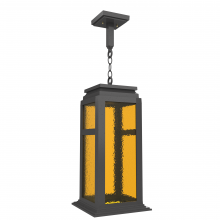 SNOC 36650-AC10-LD20C - Serie 65e - Ceiling mounting on chain large format - 36650