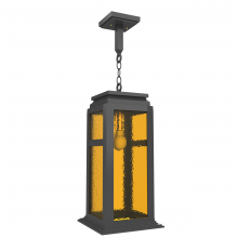 SNOC 36650-AC10 - Serie 65e - Ceiling mounting on chain large format - 36650