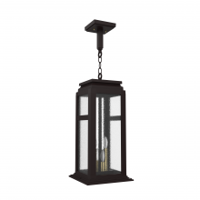 SNOC 36650-CH09C - Serie 65e - Ceiling mounting on chain large format - 36650