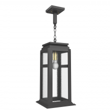 SNOC 36650-CH10 - Serie 65e - Ceiling mounting on chain large format - 36650