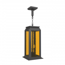 SNOC 36750-AC10C - Serie 65e - Ceiling mounting on chain large format - 36750