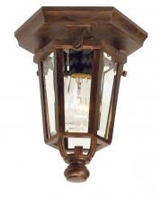 SNOC 81399WH SE - Vintage II - Ceiling mounting open bottom small format - 81399